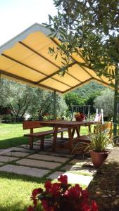 Zahrada ubytování Agriturismo la Casetta