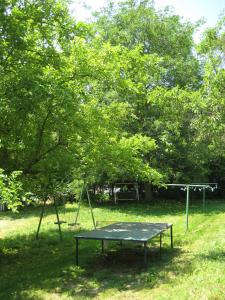 una mesa de ping pong en un parque con árboles en Gästehaus Santer, en Rothenthurn