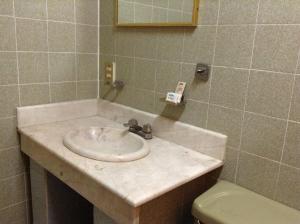 a bathroom with a sink and a toilet at Hotel Atilanos in Morelia