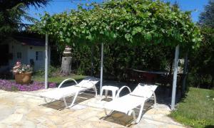 a group of chairs and a table under a tree at Domaine de Lazuel in Aubenas