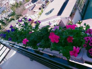 Zahrada ubytování Ha Khoa Hotel Dalat