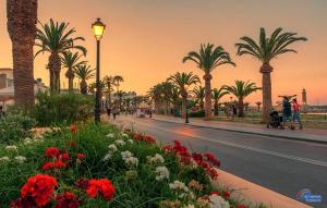 a street with palm trees and a street light and flowers at Eleni Apartment in Pigi