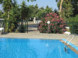 Gallery image of Apartments Seagull in Kos Town +31 photos