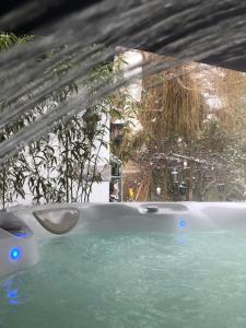 a hot tub with a glass roof in a yard at La Lilloise Villeneuve D'Ascq GD STADE Mauroy in Villeneuve d'Ascq