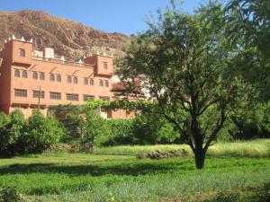 a tree in a field in front of a building at Hotel Awayou in Bou Tharar