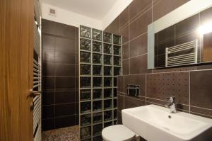 布爾諾的住宿－Penzion Hády，一间带水槽、卫生间和镜子的浴室