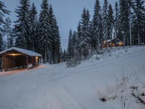 HavumäkiにあるHoliday Home Sirppilahti by Interhomeの木々と灯りのある雪の小屋