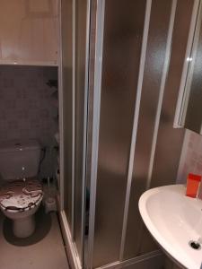 La salle de bains est pourvue d'une douche, de toilettes et d'un lavabo. dans l'établissement Le Malte, à Menton