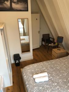 阿姆斯特丹的住宿－A'DAM ROOFTOP LUX，一间卧室配有一张床和一面大镜子