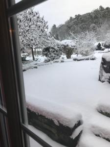 a snow covered window with a view of a yard at Logis Hôtel DOMAINE du MOULIN in Saint-Avold