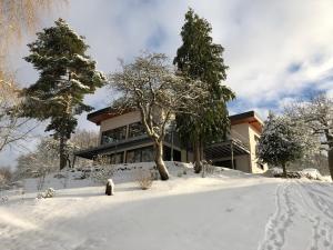 een huis in de sneeuw met voetafdrukken in de sneeuw bij Haagalm Terrasse, Garten in Nonnweiler