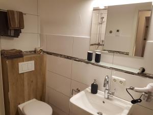 bagno con lavandino, servizi igienici e specchio di Ferienwohnung Karola a Bad Bocklet