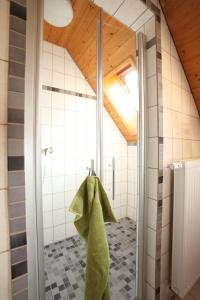 a bathroom with a shower with a green towel at Gasthof Berghof in Presseck