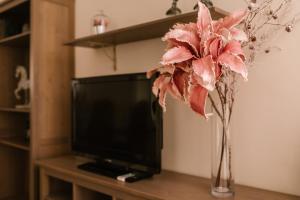 TV a/nebo společenská místnost v ubytování Alameda Amor Suite by Valcambre