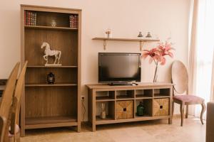 TV a/nebo společenská místnost v ubytování Alameda Amor Suite by Valcambre