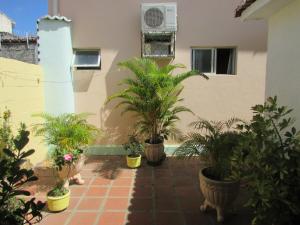 a courtyard with potted plants in front of a building at Pousada Zenite in Natal