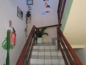 una escalera con una planta en la pared en Pousada Zenite, en Natal