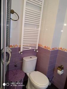 a bathroom with a toilet and a window and purple tiles at Calle Maliayo in Villaviciosa