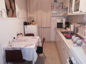 A kitchen or kitchenette at Heni Apartman