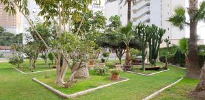 a park with palm trees and grass and benches at FMM Estudios Hannibal Benidorm Playa in Cala de Finestrat
