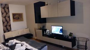 ナジカニジャにあるHeni Apartmanのリビングルーム(ソファ、薄型テレビ付)