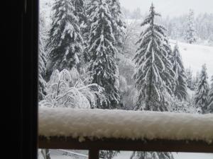 una ventana con vistas a un bosque cubierto de nieve en Casa Anca Boutique Hotel, en Brasov