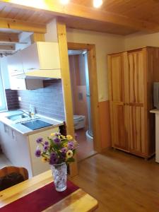 A kitchen or kitchenette at Chalupa Vaclav