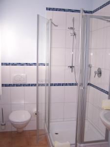 uma casa de banho com um chuveiro e um WC. em Landgasthof Hock em Großostheim
