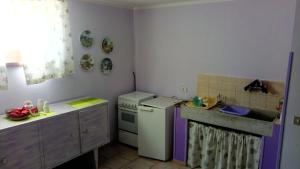 a small kitchen with a refrigerator and a sink at B&b La Violetta in SantʼAnna Pelago