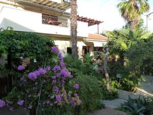 Fotografie z fotogalerie ubytování Apartments Eva v destinaci Sukošan