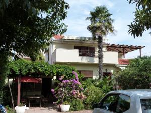 Fotografie z fotogalerie ubytování Apartments Eva v destinaci Sukošan