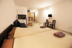 TV a/nebo společenská místnost v ubytování Apartment N506 Gudauri Loft