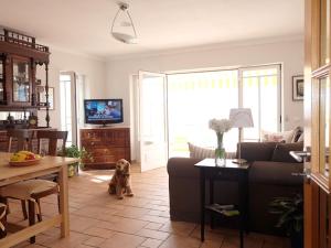 un perro sentado en medio de una sala de estar en Casa Eugenia, en Sesimbra