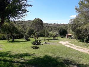 un campo de césped con árboles y un camino de tierra en Rancho Don Juan en 