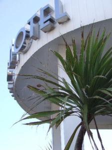 a palm tree in front of a building with a mirror at Hotel Avano - Pleasure Beach in Blackpool