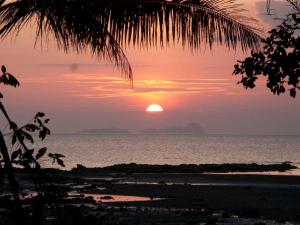 
a sunset view of a beach with palm trees at SiBoya Bungalows in Siboya
