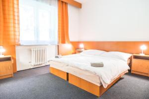 Postel nebo postele na pokoji v ubytování Horský hotel Kozubová
