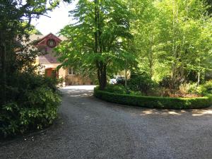 a driveway in front of a house with trees at Gweebarra in Holywood