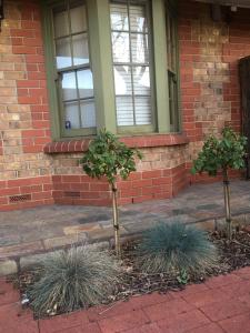 Zahrada ubytování Adelaide Style Accommodation-Getaway in North Adelaide- close to city