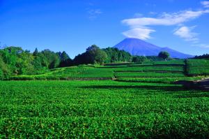 Paesaggio naturale nelle vicinanze dell'hotel