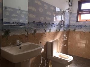 a bathroom with a sink and a toilet at Polo Region Rest Inn in Haputale +79 photos