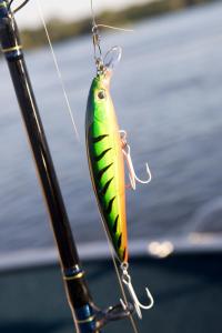 a green and orange fish hanging from a pole at Royal Chundu Island Lodge in Livingstone