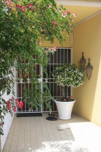 Billede fra billedgalleriet på A Summer Place Boutique Guest House i Bloemfontein