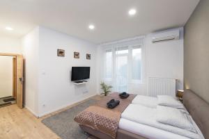 Μια τηλεόραση ή/και κέντρο ψυχαγωγίας στο Madach Apartment