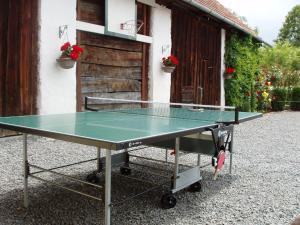 Stolný tenis v ubytovaní Chalupa U MARTINOV alebo v jeho okolí