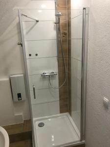 a shower with a glass door in a bathroom at Ferienwohnung am Bodensee in Kressbronn am Bodensee