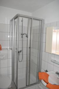 a bathroom with a shower and a toilet and a sink at Haus am Deich Wohnung 10 in Dahme