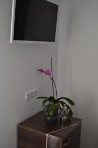 eine Pflanze auf einer Holzkommode in der Unterkunft Hotel Myrsini in Kirchentellinsfurt