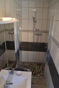 a bathroom with a shower and a sink at Alaguyauder le Studio in Châtillon-sur-Broué