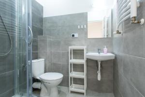 a bathroom with a toilet and a sink and a shower at Willa Parkowa in Rymanów-Zdrój